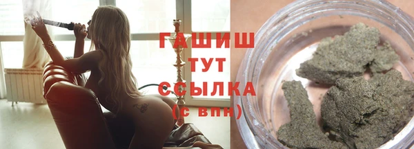 мет Ельня