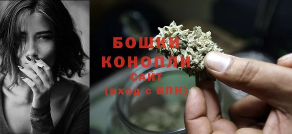 прущий лед Дмитровск