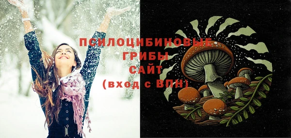 мяу мяу мука Елизово