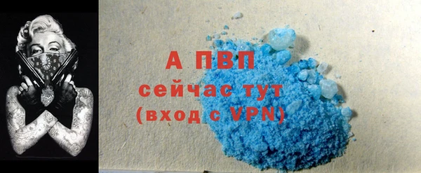 мет Ельня