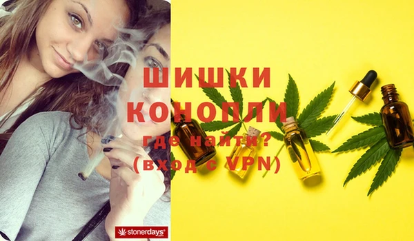 мет Ельня