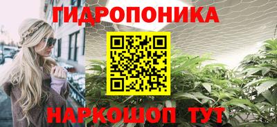 шишки Гусев
