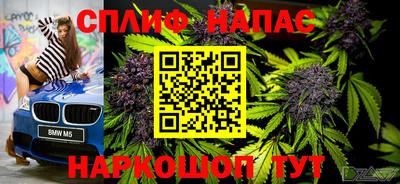 шишки Гусев