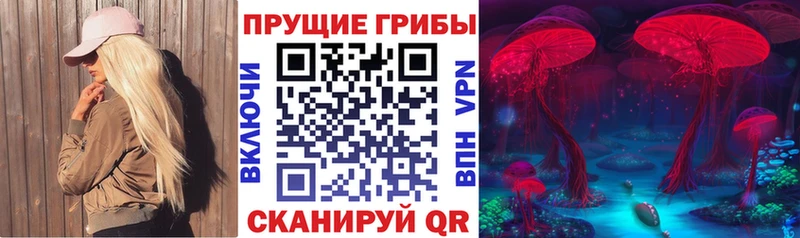 купить закладку  Железногорск  Псилоцибиновые грибы мицелий 