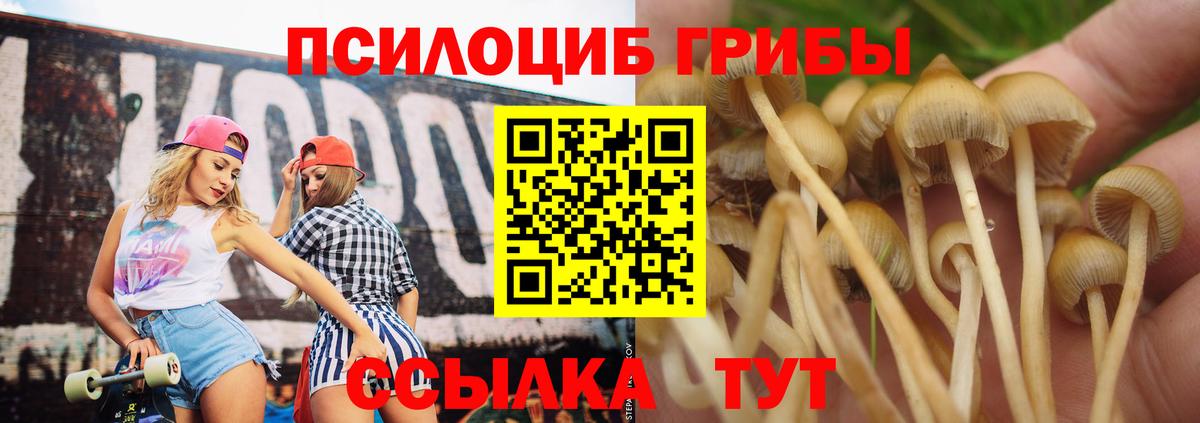 Галлюциногенные грибы Cubensis Железногорск